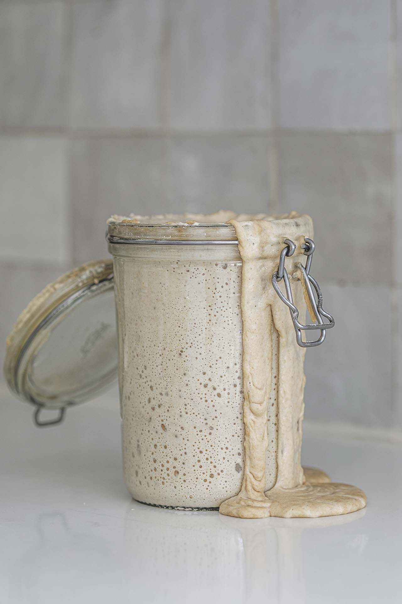 Create a sourdough starter from scratch
